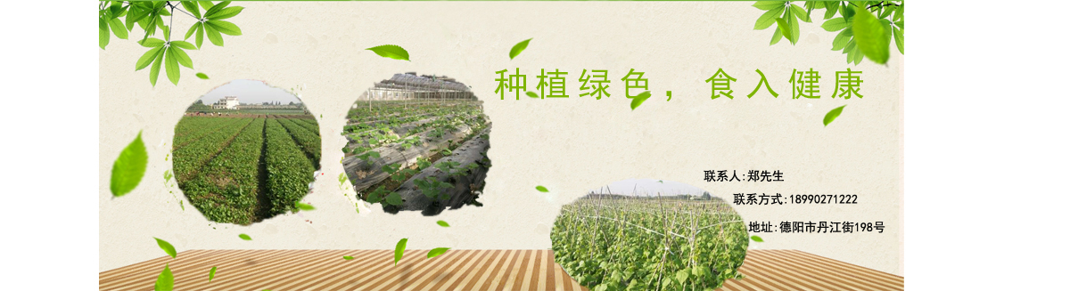 德陽愛心餐飲服務有限公司