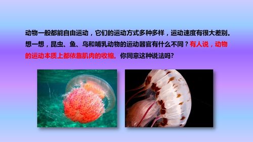 人教八年級上冊生物課件第五單元第二章第一節(jié) 動物的運(yùn)動課件 24張ppt